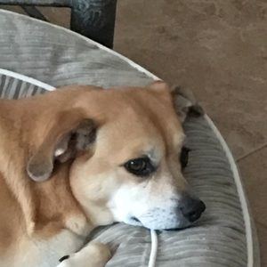 Meet your Posher, Delene